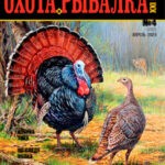 Журнал Охота и рыбалка 21 век выпуск №4 за апрель 2024 год
