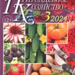 Журнал Приусадебное хозяйство выпуск №3 за март 2024 год