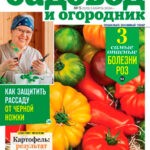 Журнал Садовод и огородник выпуск №5 за март 2024 год