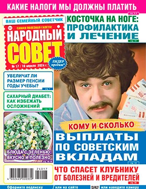 Народный совет №17 апрель [2024]