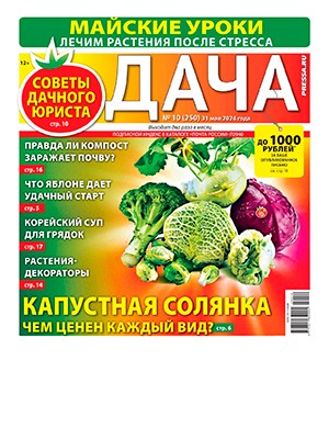 Дача №10 [2024]