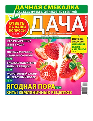 Дача №11 июнь [2024]