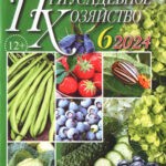 Обложка журнала Приусадебное хозяйство №6 июнь 2024