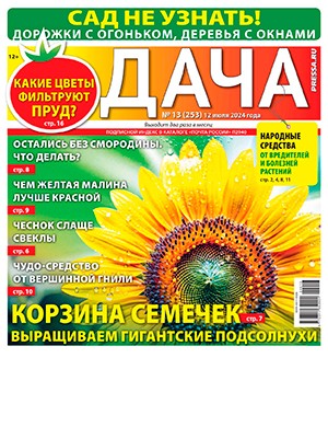 Дача №13 июль [2024]