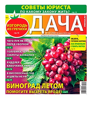 Дача №14 июль [2024]