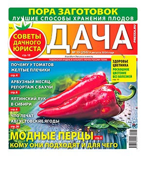 Дача №15 август [2024]