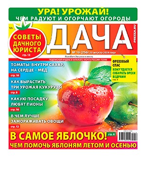 Дача №16 август [2024]