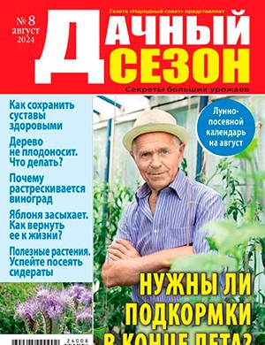 Дачный сезон №8 август [2024]