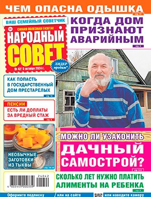 Народный совет №42 октябрь [2024]