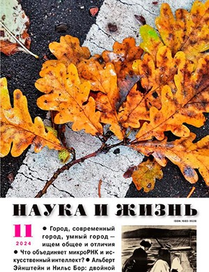 Наука и жизнь №11 ноябрь [2024]