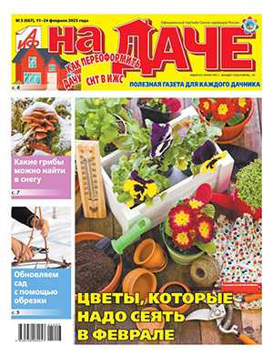 АиФ На даче №3 февраль [2025]