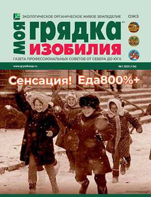 Моя грядка изобилия №1 январь [2025]