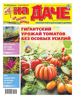 АиФ На даче №4 февраль [2025]