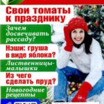 Обложка журнала Дачный клуб №1 январь 2025