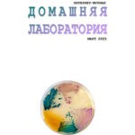 Обложка журнала Домашняя лаборатория №3 март 2025
