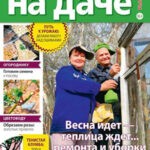 Обложка журнала Сваты на даче №2 февраль 2025