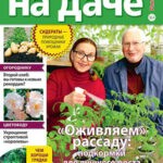 Обложка журнала Сваты на даче №3 март 2025