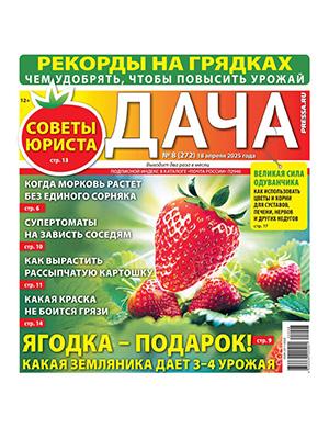 Дача №8 апрель [2025]
