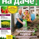 Обложка журнала Сваты на даче №4 апрель 2025