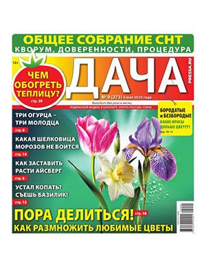 Дача №9 май [2025]