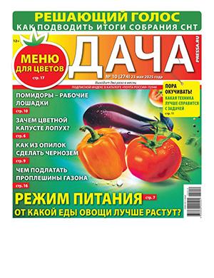 Дача №10 май [2025]