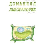 Обложка журнала Домашняя лаборатория №4 апрель 2025