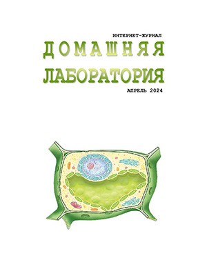 Журнал Домашняя лаборатория выпуск №4 за апрель 2025 год Обложка журнала Домашняя лаборатория №4 апрель 2025