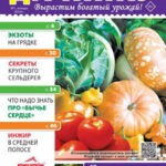 Обложка журнала Простые советы дачнику №1 январь 2024