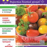 Обложка журнала Простые советы дачнику №2 февраль 2024