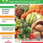 Обложка журнала Простые советы дачнику №4 апрель 2024
