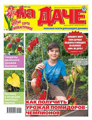 АиФ На даче №12 июнь [2025]