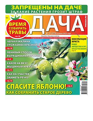 Дача №11 июнь [2025]