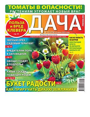 Дача №12 июнь [2025]