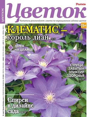 Цветок №11 июнь [2025]