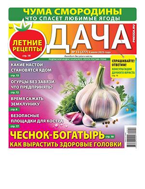 Дача №13 июль [2025]
