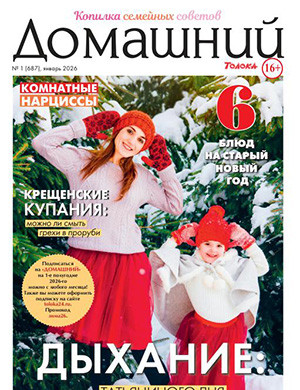 Домашний №1 январь [2026]